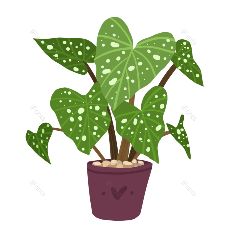 叶子图片,盆栽元素,绿色PNG,植物免抠素材